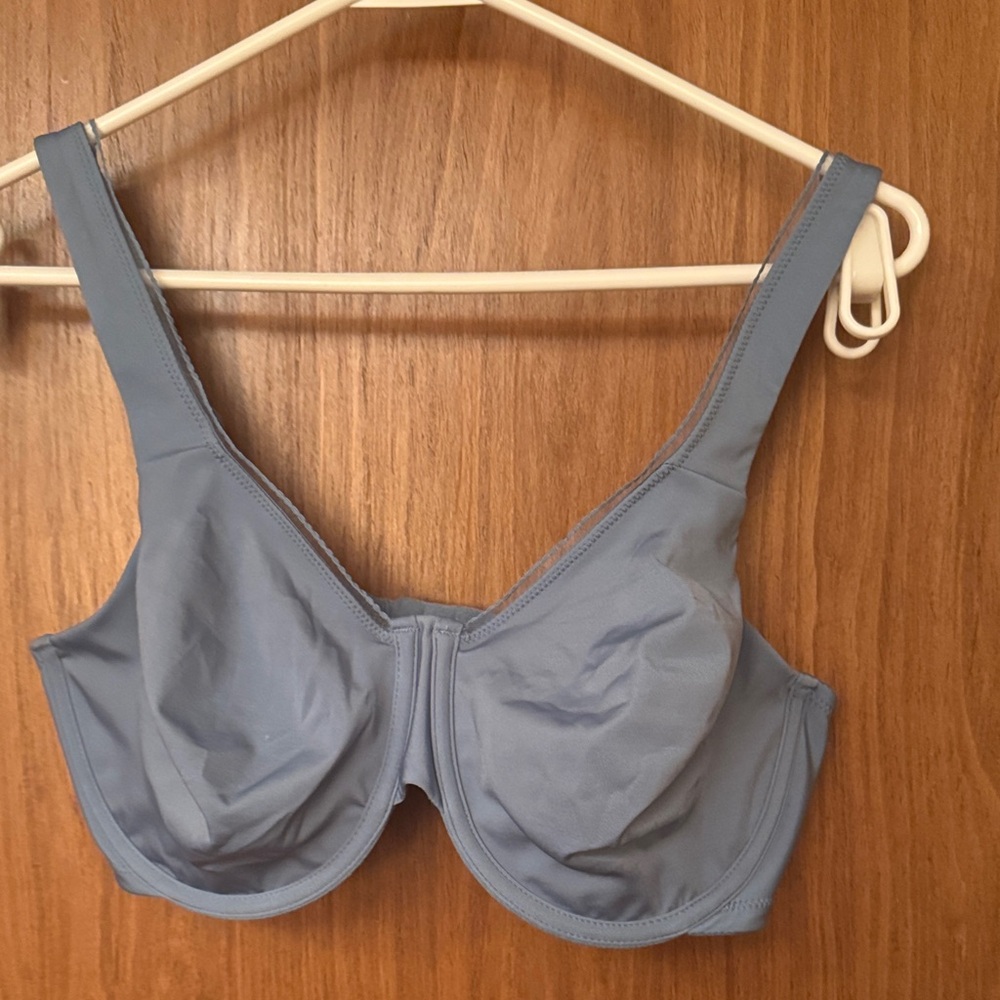 Wacoal Sky Blue Bra